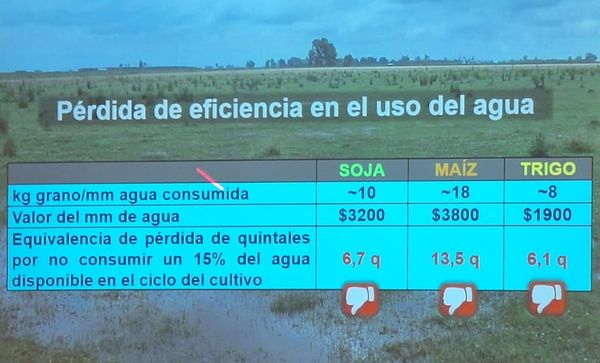 suelo