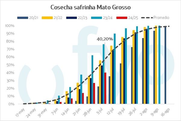 safrinha