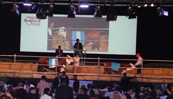 En vivo, la subasta de grandes campeones de Braford