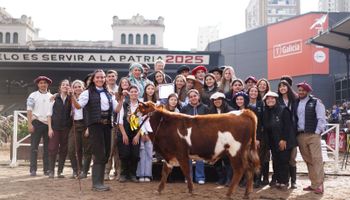 La hazaña de un grupo de jóvenes con un animal que se creía extinto en Argentina: buscan reincorporarlo a la ganadería argentina