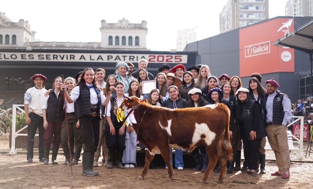 La hazaña de un grupo de jóvenes con un animal que se creía extinto en Argentina: buscan reincorporarlo a la ganadería argentina