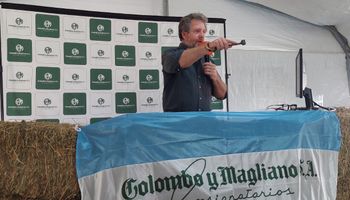 Así se remataron 600 reproductores y 3000 cabezas de invernada y cría desde Corrientes
