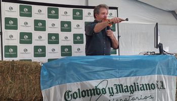 Colombo y Magliano prepara un gran remate desde Quimilí