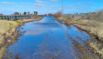 ¿Se viene La Niña? De las inundaciones actuales al riesgo de un cambio de patrón, qué pasa con el clima en el campo