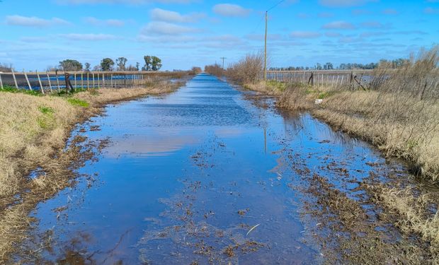 ¿Se viene La Niña? De las inundaciones actuales al riesgo de un cambio de patrón, qué pasa con el clima en el campo