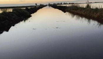 Advierten por un evento importante de lluvias en el campo: las zonas que más milímetros van a recibir