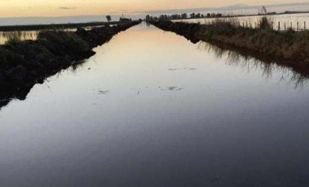 Advierten por un evento importante de lluvias en el campo: las zonas que más milímetros van a recibir