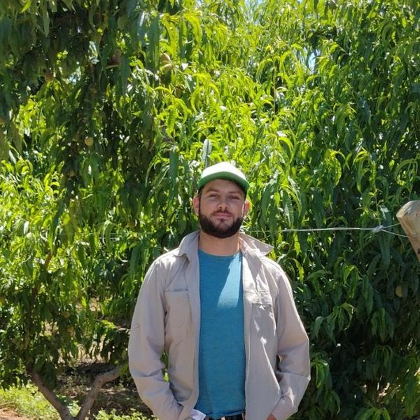 pistacho argentina