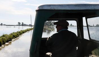 Emergencia hídrica en Buenos Aires: hay más de 3 millones de hectáreas afectadas y alertan que detrás hay "vidas y futuro"