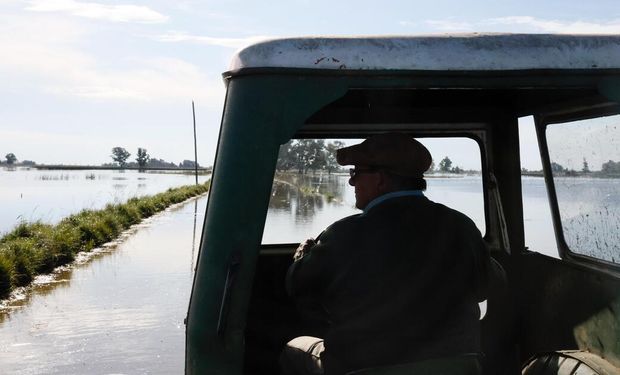Emergencia hídrica en Buenos Aires: hay más de 3 millones de hectáreas afectadas y alertan que detrás hay "vidas y futuro"