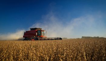 La soja argentina bajo la lupa: expertos analizan emisiones, precios y oportunidades