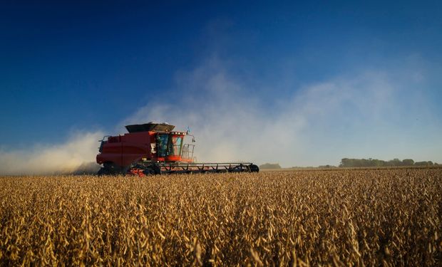 La soja argentina bajo la lupa: expertos analizan emisiones, precios y oportunidades