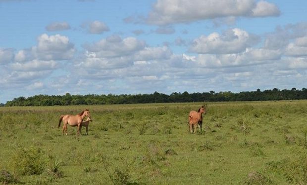 ¿Qué oportunidades hay en el mercado inmobiliario rural y en zonas urbanas? Por qué un campo no es solo una inversión