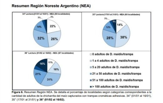 Chicharrita noreste