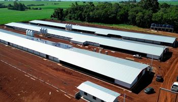 MBRF investe R$ 300 milhões em fundo do Governo do Paraná para fortalecer cadeia de aves e suínos