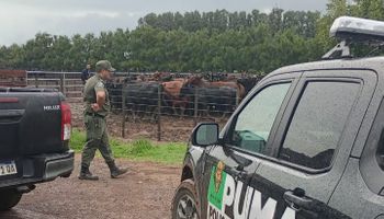 Caso La Joya: imputaron por defraudación por abuso de confianza al empresario que vendió el ganado y se conoció un nuevo documento