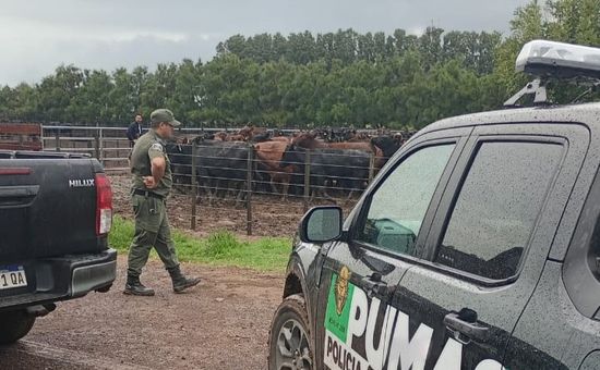 La Fiscalía aseguró que existía un acuerdo verbal previo con Bruno Riboldi; fijaron restricciones para el imputado