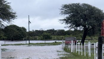 Cosecha retrasada y soja en peligro: por qué no para de llover y afecta los rendimientos