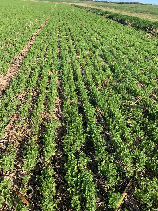 De un cultivo artesanal a una industria en expansi&oacute;n en Santa Fe