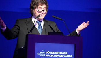 El motivo que ve Milei para que la producción de fertilizantes, la industria forestal, la agricultura y ganadería florezcan y traigan inversiones