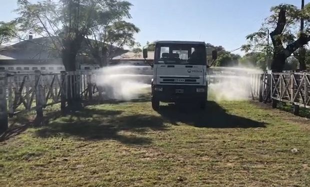 Cañuelas: así se adaptan los remates de hacienda a la pandemia