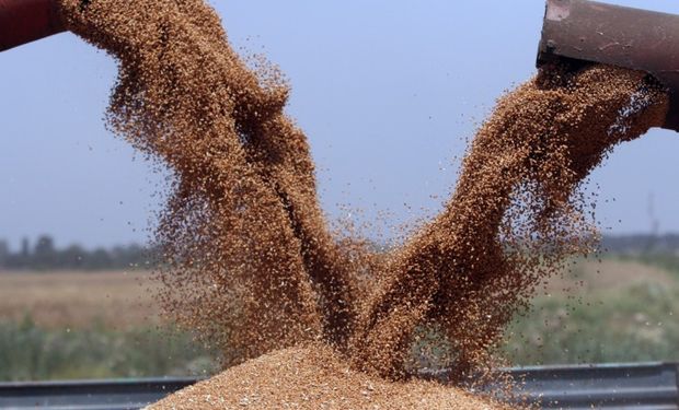 El sector triguero argentino se tambaleó en la semana ante la noticia que Brasil importaría 750.000 toneladas de trigo libre de arancel.