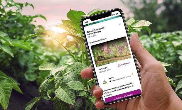 Se podrá detectar plagas, malezas y enfermedades y comprar los insumos desde una misma plataforma