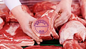 Exportações de carne bovina crescem 21,6% e chegam a US$ 1,44 bilhão