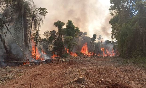 Declaran la emergencia agropecuaria nacional para Córdoba, Misiones y Mendoza