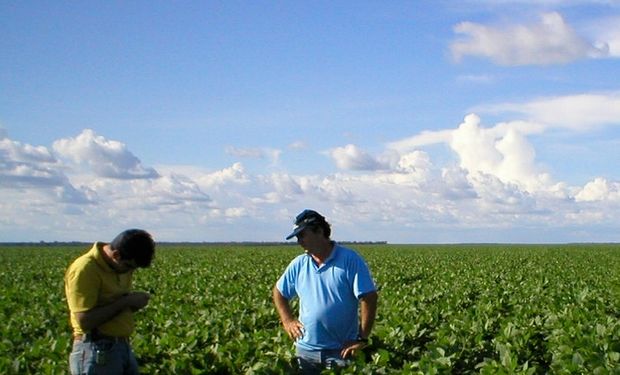 El insumo diseñado para la soja argentina que promete un retorno económico de 5 a 1: es sustentable y alcanza con 2 litros por hectárea