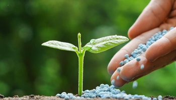 2024: desafios do setor devem ser superados com maior diversidade de cultivos e adubação eficiente