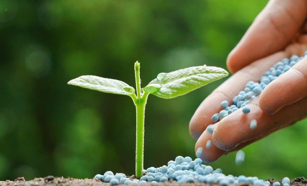 2024: desafios do setor devem ser superados com maior diversidade de cultivos e adubação eficiente