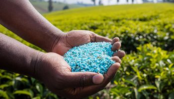 Yara revisa expectativas e vê mercado de fertilizantes abaixo do previsto em 2025