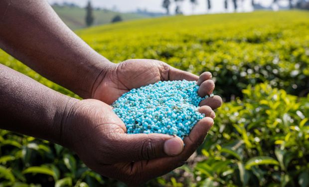 Yara revisa expectativas e vê mercado de fertilizantes abaixo do previsto em 2025