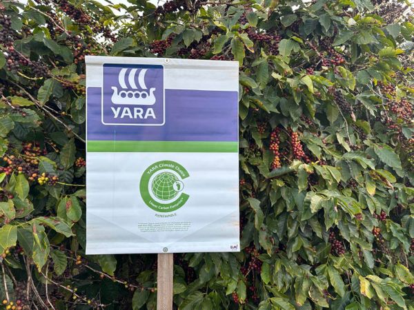 Yara_cafebaixocarbono