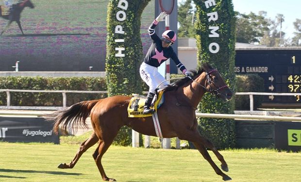 La Aduana frenó la exportación del mejor caballo de carrera de la Argentina