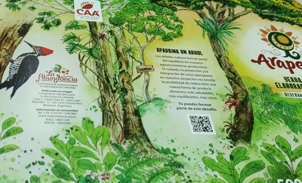 Lanzan al mercado la primera yerba “amiga de las aves”: que consiguió la certificación en agricultura orgánica