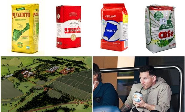 Ranking de marcas: las 10 familias y cooperativas de yerba mate