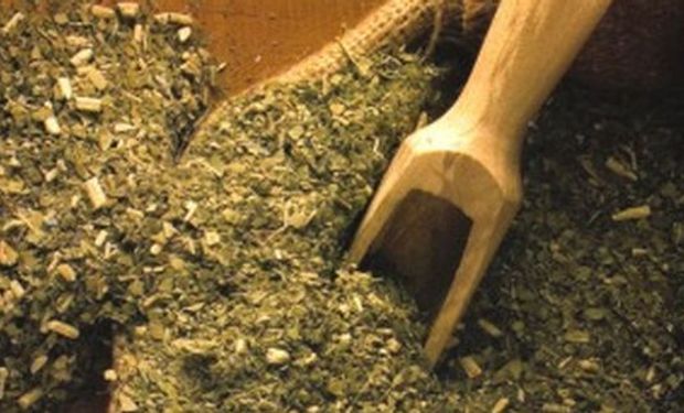La yerba aumentó 50% y ya se vende a más de 30 pesos el kilo