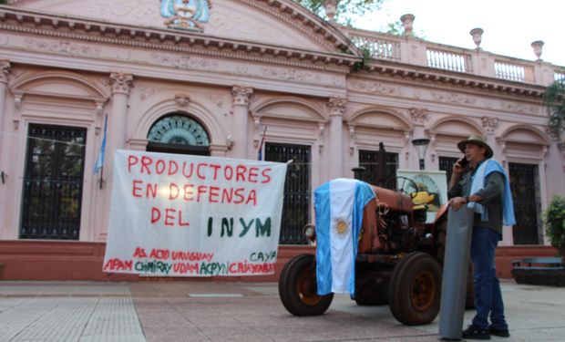 La Justicia suspendió un artículo del DNU de Javier Milei sobre la yerba mate