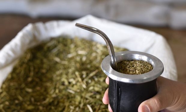 Yerba mate: el consumo alcanzó el máximo de los últimos cinco años