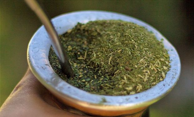 Se exportó un 7,78 % más de yerba mate durante el 2020