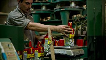 La yerba mate crece en el mercado interno y externo