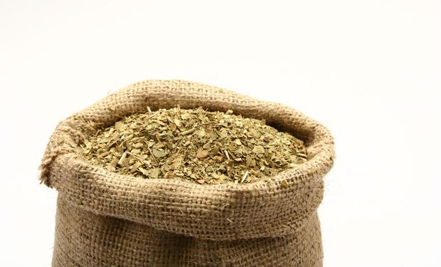 ¿Se dispara el precio de la yerba? La industria, en alerta por una medida que limita la producción