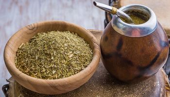 Yerba mate: un estudio revela que casi el 40 % del precio corresponde a impuestos