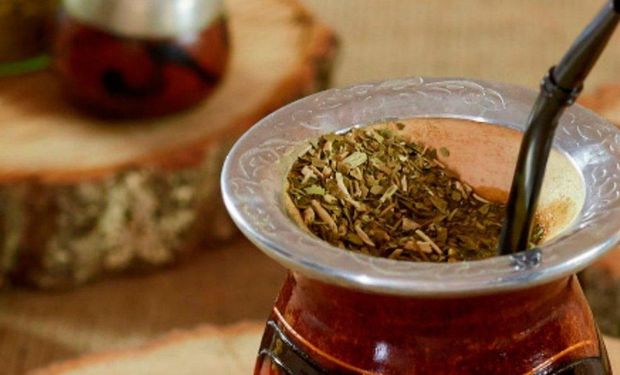 Buscan preservar la calidad de la yerba mate a través de la eliminación del exceso de palos