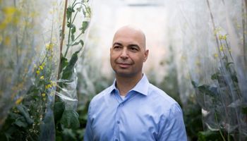 Corteva Agriscience divide el negocio de semillas y protección de cultivos: ¿Cómo es el nuevo nombre del gigante global de insumos para el agro?