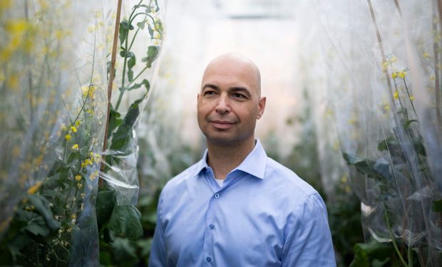 Corteva Agriscience divide el negocio de semillas y protección de cultivos: ¿Cómo es el nuevo nombre del gigante global de insumos para el agro?