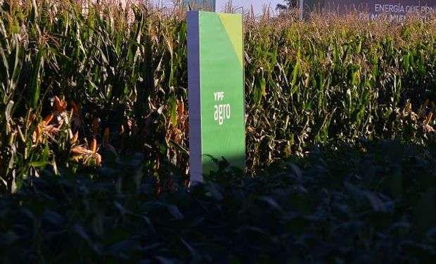 Energía que nace en el campo: YPF Agro en Expoagro, con novedades, la red más grande del país y una solución integral para el productor