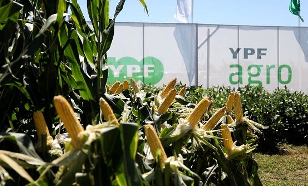 YPF Agro en Expoagro 2024: habrá promociones para el canje de granos y un nuevo lubricante específico para maquinaria
